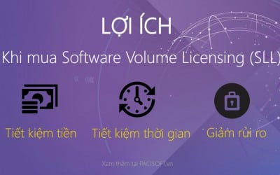 Lợi ích của việc cấp phép số lượng lớn khi mua phần mềm