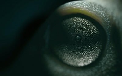 Cinema 4D Release 18 cải tiến công cụ