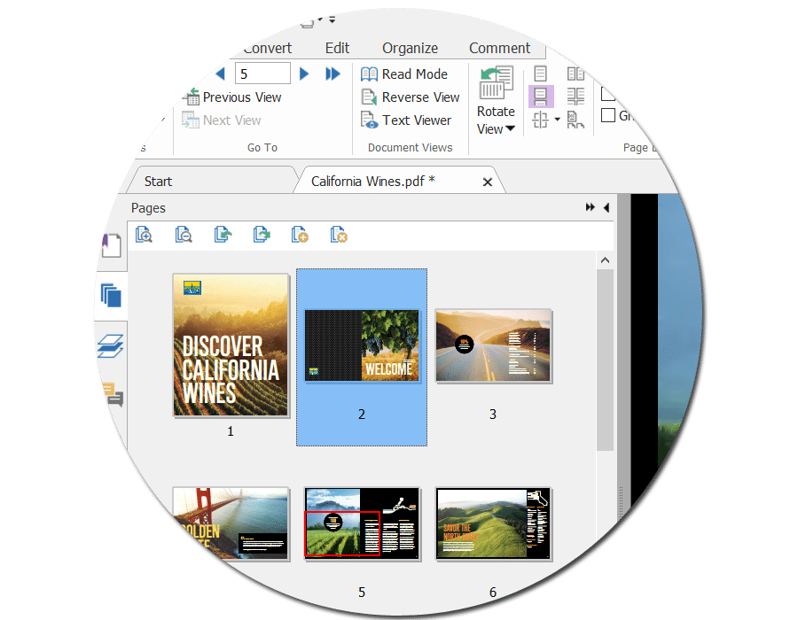 phantompdf download