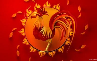 Giải thưởng AEF Awards Lineup Chosen