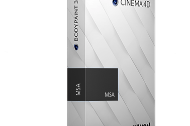 MAXON Service Agreement (MSA)