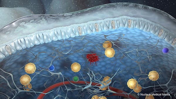 Cinema 4D - công cụ chính của Illustrators Medical