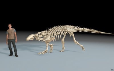 Cinema 4D mô phỏng bộ xương khủng long 3D tương tác với người dùng