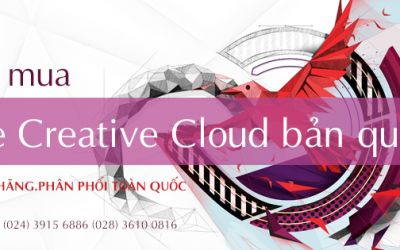 Tư vấn mua Adobe Creative Cloud bản quyền