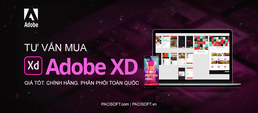 Tư vấn mua Adobe XD bản quyền