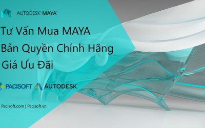 Tư vấn mua bán phần mềm Maya bản quyền