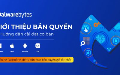 Giới thiệu về Malwarebytes bản quyền & Hướng dẫn cài đặt cơ bản