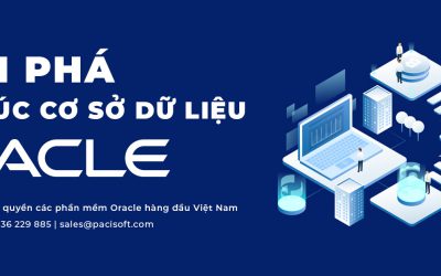 Tổng quan về kiến trúc cơ sở dữ liệu Oracle