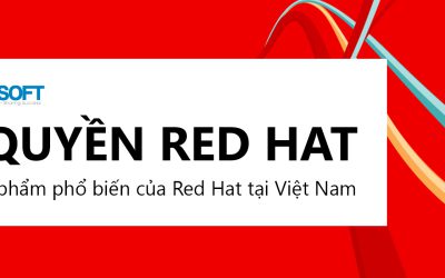 Tổng quan về Red Hat – Các dòng sản phẩm phổ biến của Red Hat tại Việt Nam