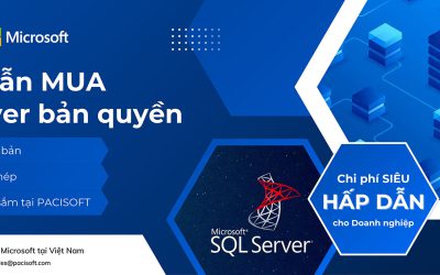 Hướng dẫn mua SQL Server bản quyền tại PACISOFT | Chi tiết, minh bạch, nhanh chóng