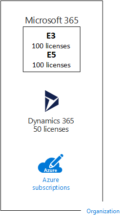 Licenses within the SaaS-based subscriptions for an organization