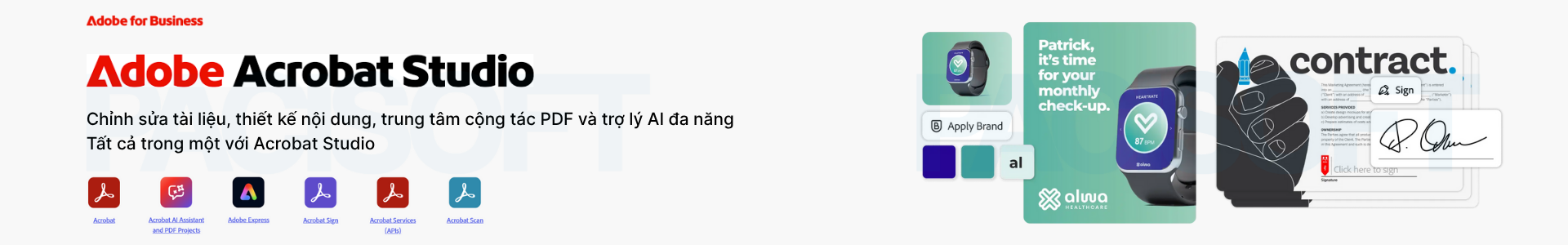 acrobat studio for teams