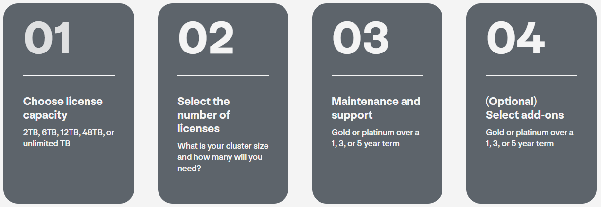 stormagic svsan Perpetual Licenses