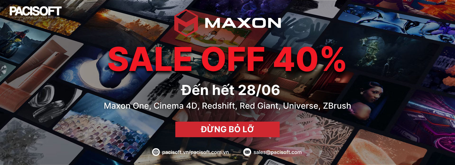 MAXON-SALE-OFF-40